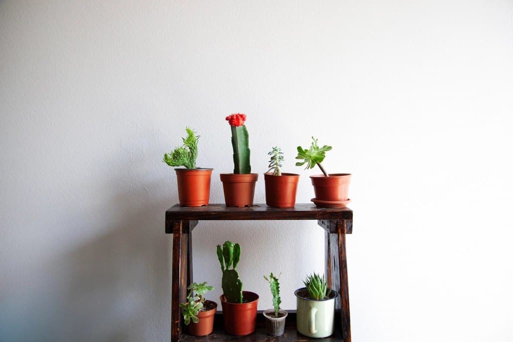 Plant Stand Shelf