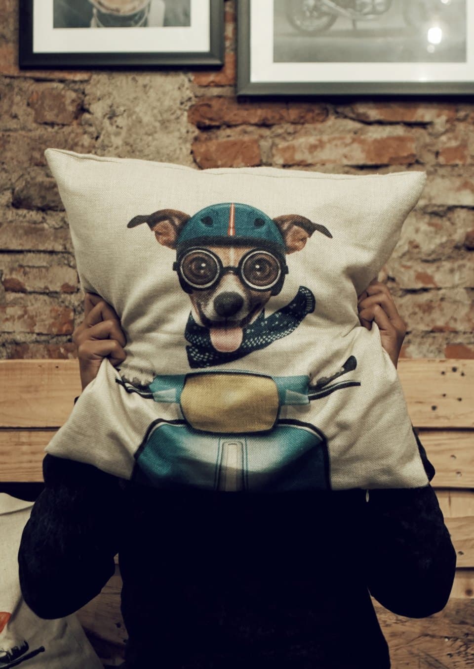 Illustrated Canvas Cushion